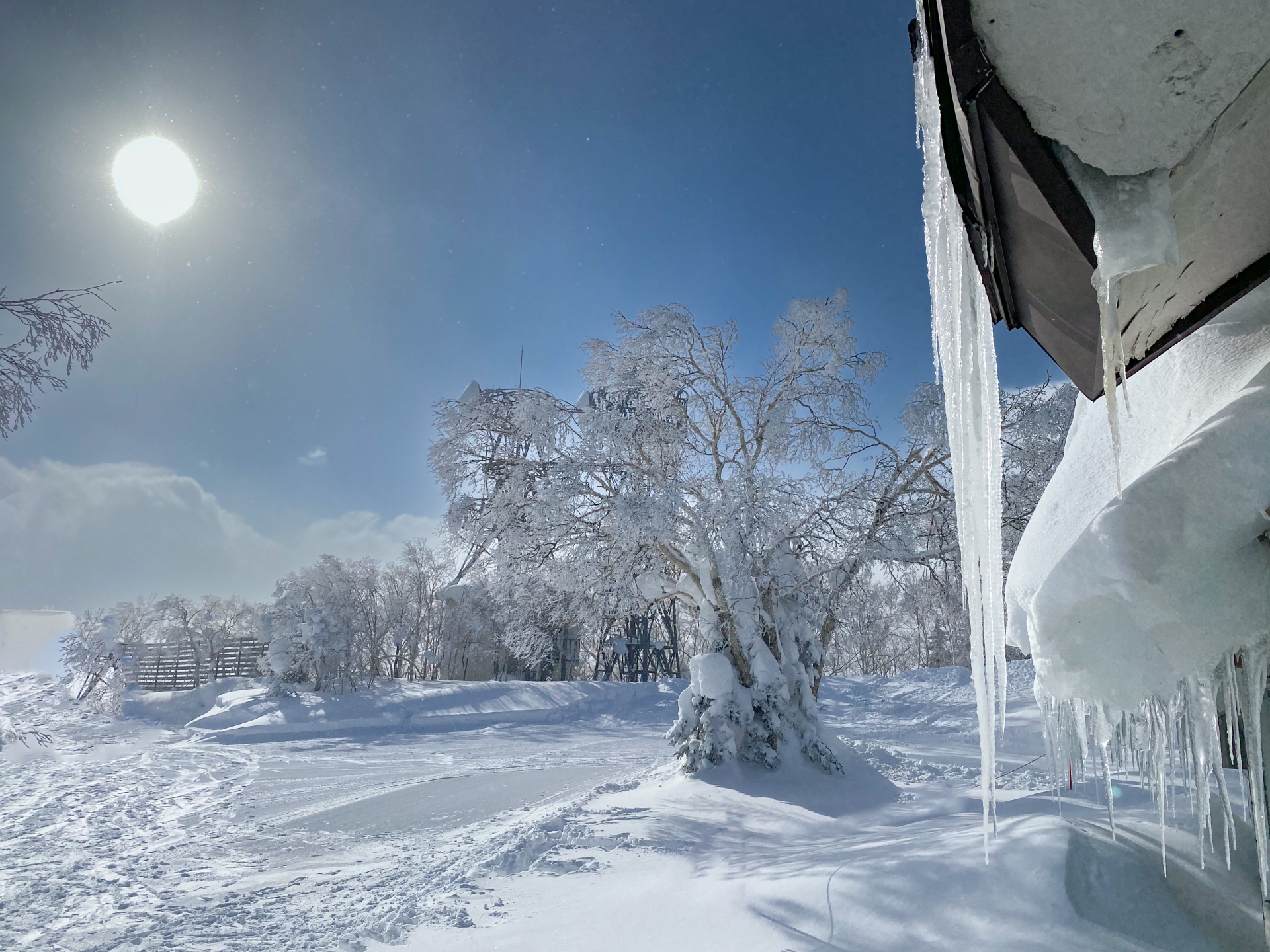 放射冷却はなぜ冬に強く起きるのか?
